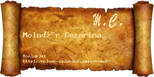 Molnár Cezarina névjegykártya